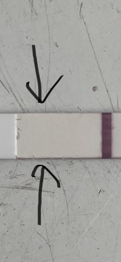 Testování a těhotenský test | Slabý duch 8DPO - vidíte?