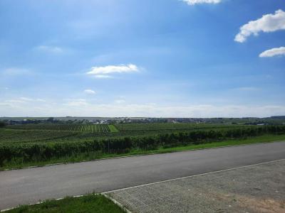 ČEJKOVICE 2023