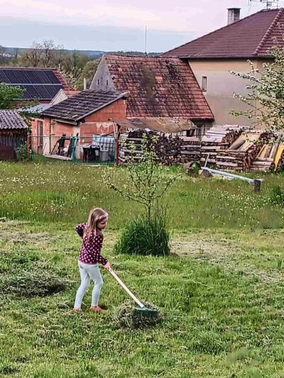 Nesekáme celou zahradu kvůli hmyzu 