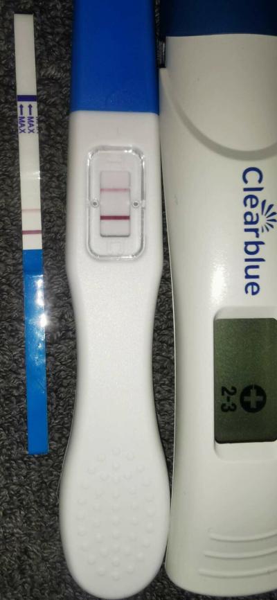 Testování a těhotenský test | Pomalejší růst hcg