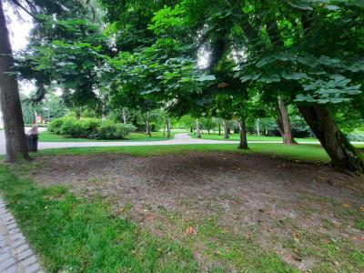 ZÁMECKÝ PARK