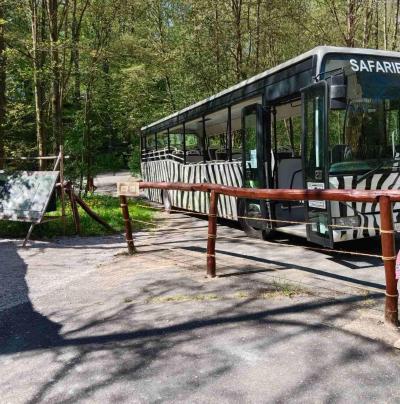 Jednodenní výlety a restaurace | Zoo Dvůr Králové - auto