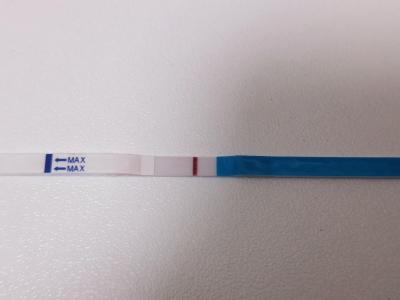 Snažení | 8DPO - nidace?