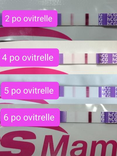 Testování a těhotenský test | Jak vypadá test hned po ovitrelle?