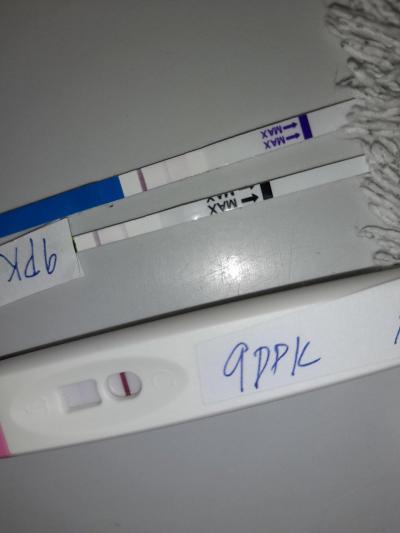 Centra asistované reprodukce | IVF únor 2023