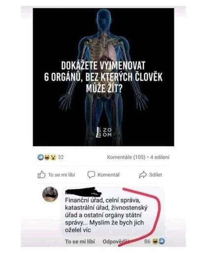 Technologie, mobily, internet | Nudící se osamělý vozíčkář nabízí své služby