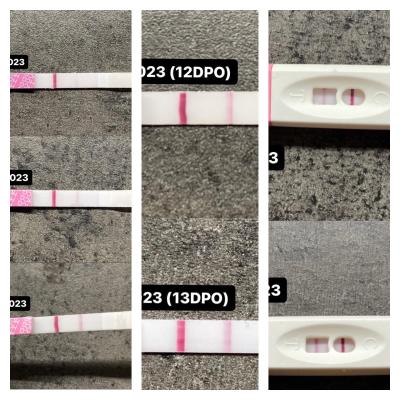 Testování a těhotenský test | Špinění i přes pozitivní test?