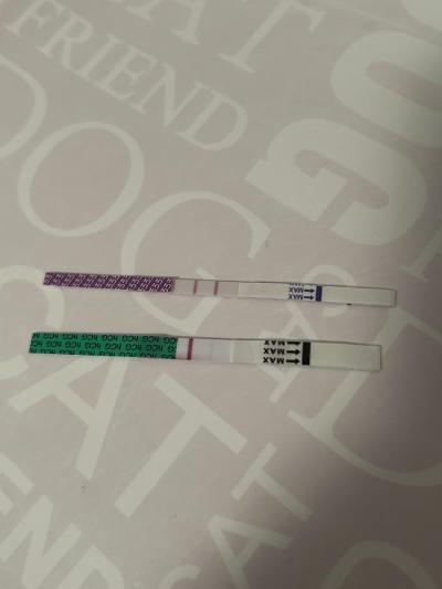 Snažení | Krvácení mimo ms a ovu i těhu test