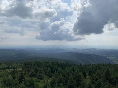1. výzva