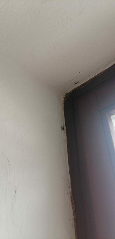 Domácnost | Městský byt a opravy
