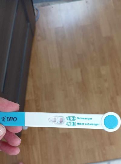 Testování a těhotenský test | Těhotenský test a biochemko