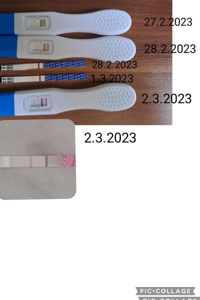 Testování a těhotenský test | Těhotná nebo ne? Co myslite