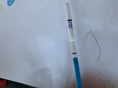Testování a těhotenský test | KET leden 2023