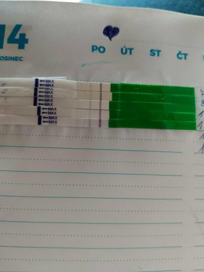 Testování a těhotenský test | Vas nazor na tehotensky test