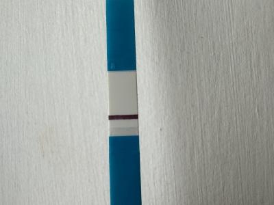 Testování a těhotenský test | Slabý duch 8DPO - vidíte?