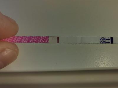 Testování a těhotenský test | Vidíte tam také  ducha?