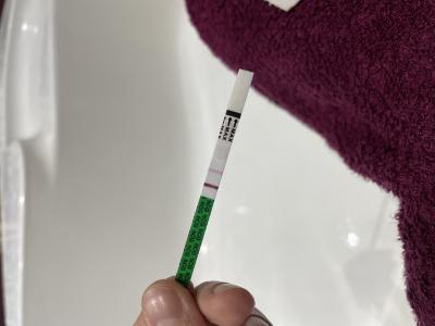 Testování a těhotenský test | HCG a ranné těhotenství