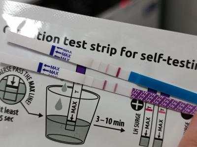 Testování a těhotenský test | Jak vypadá test hned po ovitrelle?