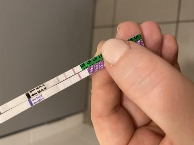 Snažení | Ovulační test - čemu věřit ?
