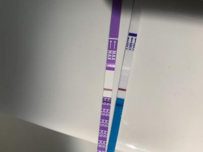 Testování a těhotenský test | KET leden 2023