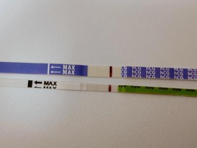 Testování a těhotenský test | Těhotenský test slabý duch