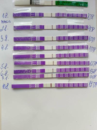 Centra asistované reprodukce | IVF 2023