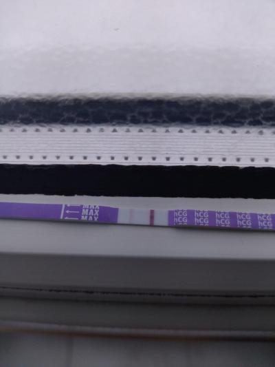 Testování a těhotenský test | KET leden 2023