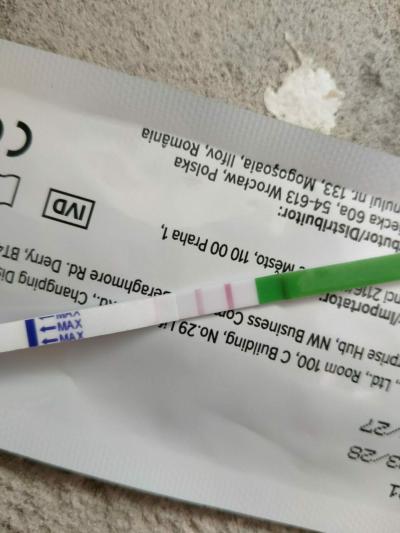 Snažení | Ovulace těsně před termínem MS?