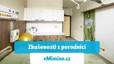 Porodnice U Apolináře, Klinika gynekologie, porodnictví a neonatologie 1. LF UK a VFN
