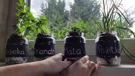 Velká HiPP fotosoutěž skončila: Kdo se bude radovat z výhry?