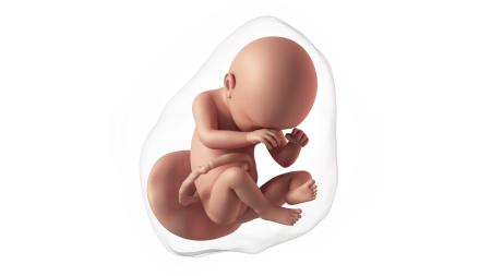 38. týden těhotenství: Jak poznat falešný poplach?