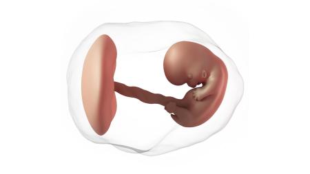 8. týden těhotenství: Jak zvládnout nevolnosti
