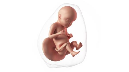 28. týden těhotenství: Miminko cítí vůně