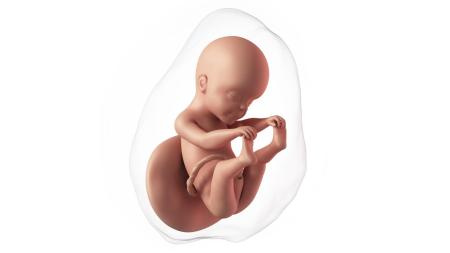 25. týden těhotenství: Jak probíhá test cukrovky?