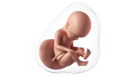 27. týden těhotenství: Jak vybrat porodnici?