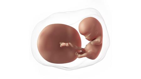 10. týden těhotenství: A zase ta nevolnost
