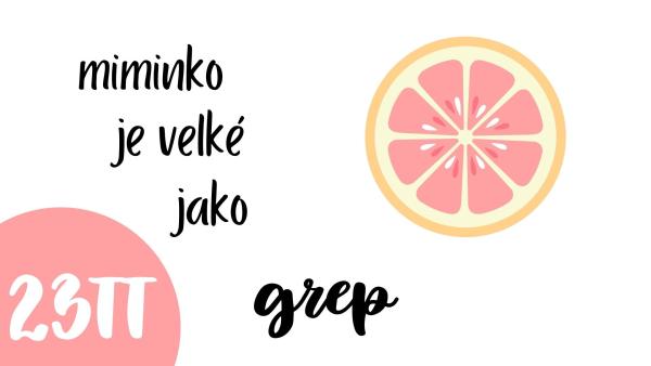 23. týden těhotenství. Jak vypadá miminko?