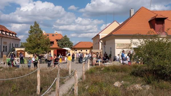 toulcuv-dvur.jpg