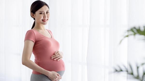 Co obsahuje placenta?