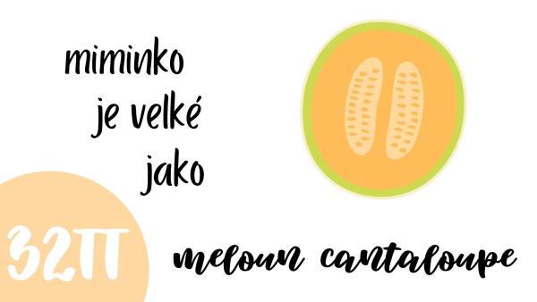 Jak vypadá miminko ve 32. týdnu těhotenství?