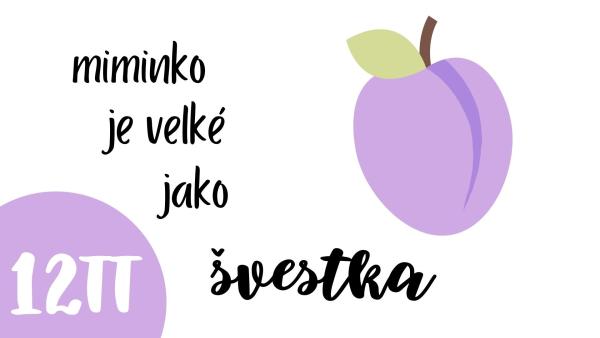 Jak velké je miminko ve 12. týdnu těhotenství?