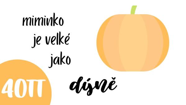 Jak vypadá miminko v 40. týdnu těhotenství?