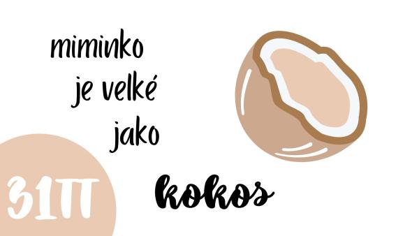 Jak vypadá miminko ve 31. týdnu těhotenství?