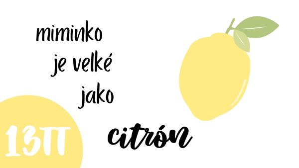 Jak velké je miminko v 13. týdnu těhotenství?