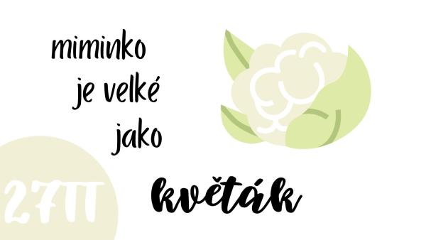 Jak vypadá miminko?
