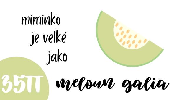 35. týden těhotenství. Jak vypadá miminko?