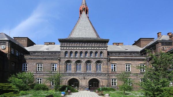 Prof. Cibula: Ročně odvedeme 3,5 tisíce porodů.