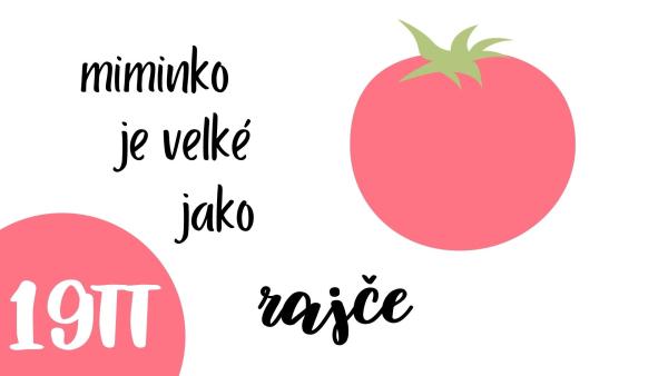 V 19. týdnu těhotenství je miminko velké jako rajče.