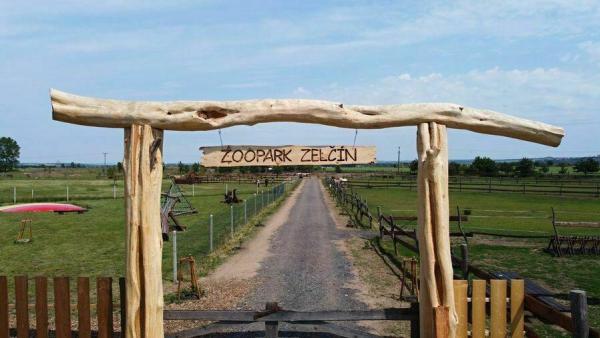 zelcin.jpg