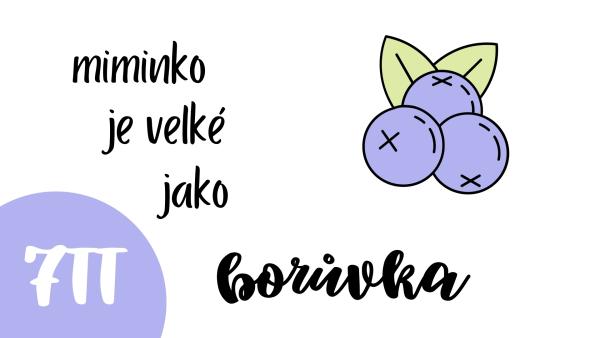 Jak vypadá miminko v 7.tt?